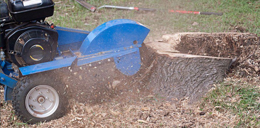 Stump removal