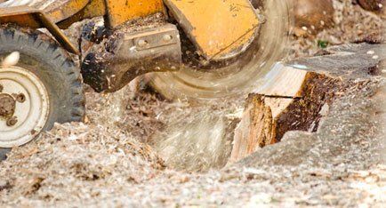 speedy stump removal