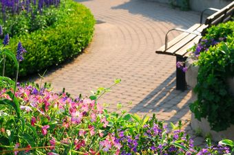 We have worked with many clients in Cumbria, including local schools, corporate companies and domestic clients