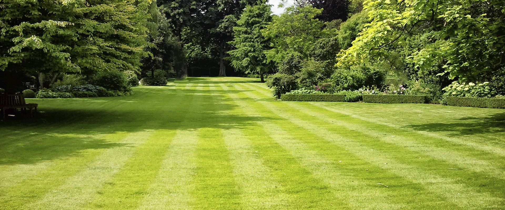 landscaping service example 1
