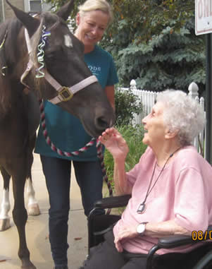 Senior touch a horse — staff updates in Parma, OH Senior touch a horse — staff updates in Parma, OH