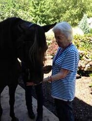 Old woman with a horse — staff updates in Parma, OH Old woman with a horse — staff updates in Parma, OH