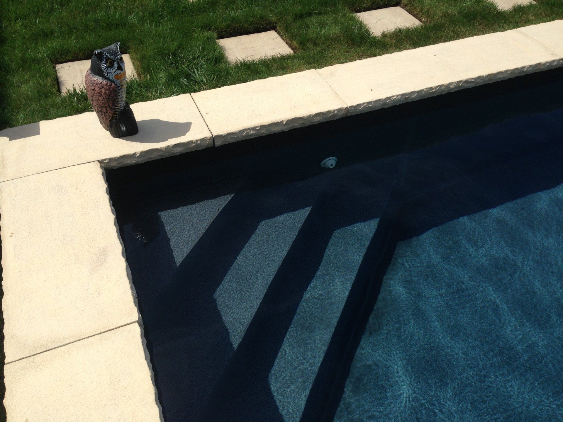 a statue of an owl sits on the edge of a swimming pool