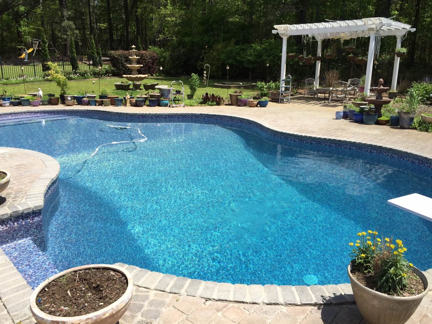 a large swimming pool surrounded by potted plants and a pergola