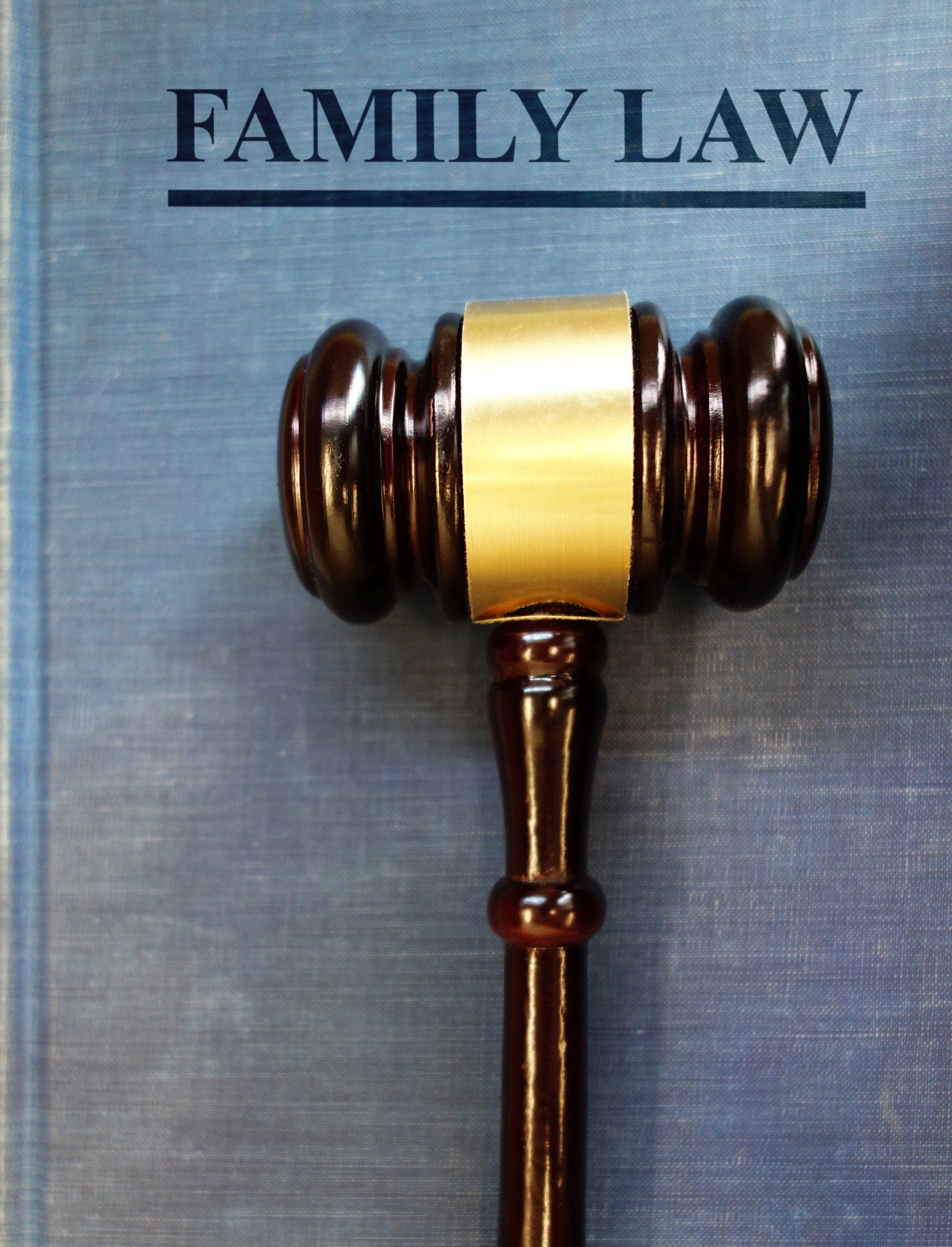 Gavel with golden head on a blue book titled