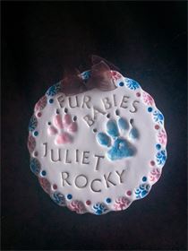Juliet And Rocky Pawprints — Norco, CA — Little Bitty Prints