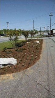 Lawn under maintenance — Lawn Maintenance in Hickory, NC
