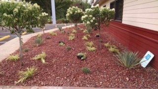 Planting trees — Lawn Maintenance in Hickory, NC
