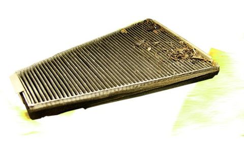 Cabin Air Filters