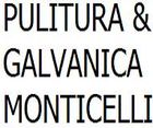 logo pulituragalvanica monticelli