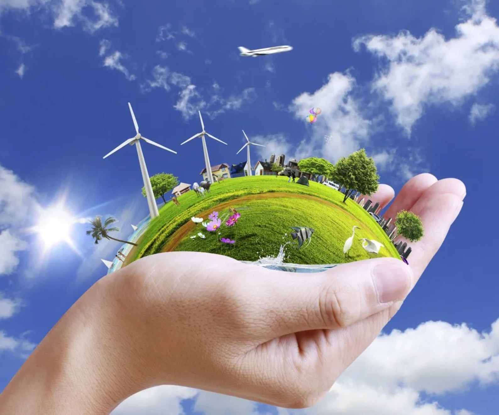 servizi ecologici