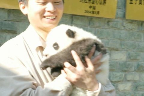 PandaClips
