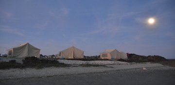 camp at night