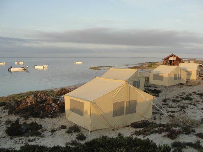 whale camp at morning light