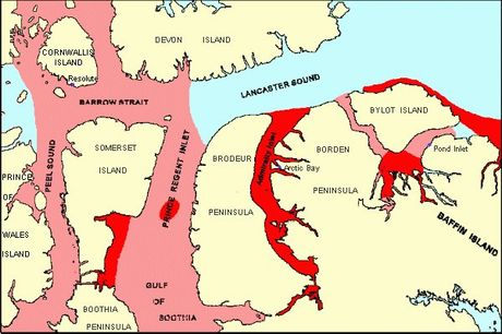 narwhal distr baffin island summer.jpg (243669 bytes)
