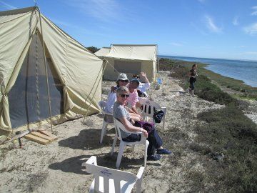 watching whales from our tent
