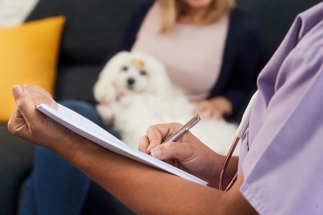 consulenze veterinarie