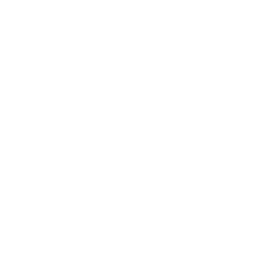 spine icon