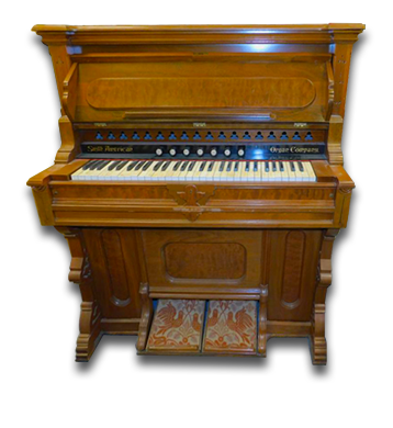 Organ