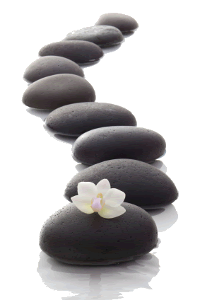 A row of black rocks with a white flower on one of them.