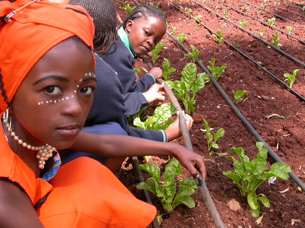 Eco Schools