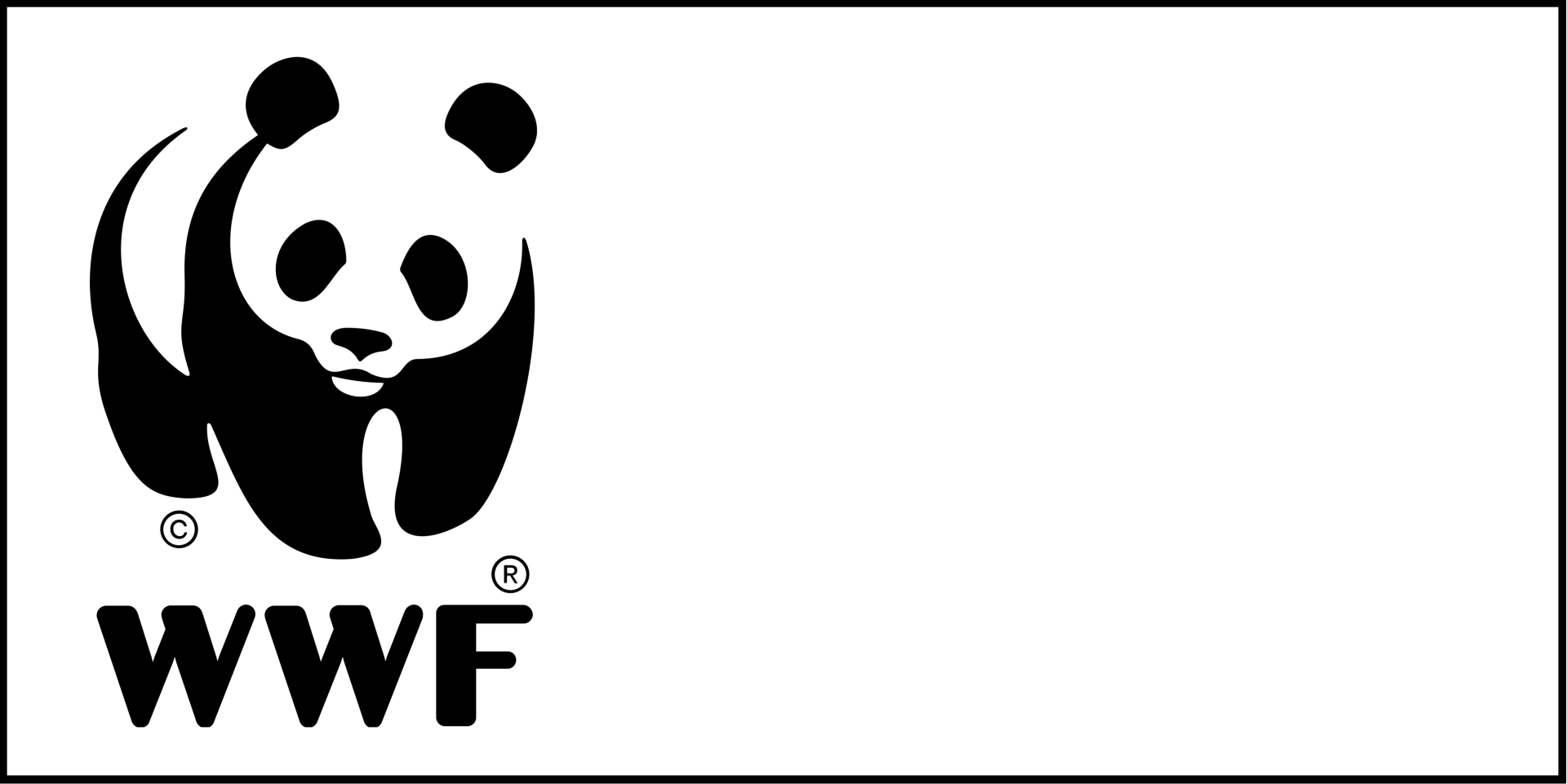 World Wildlife Foundation