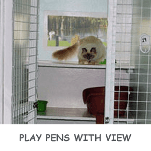 Play pen with a view