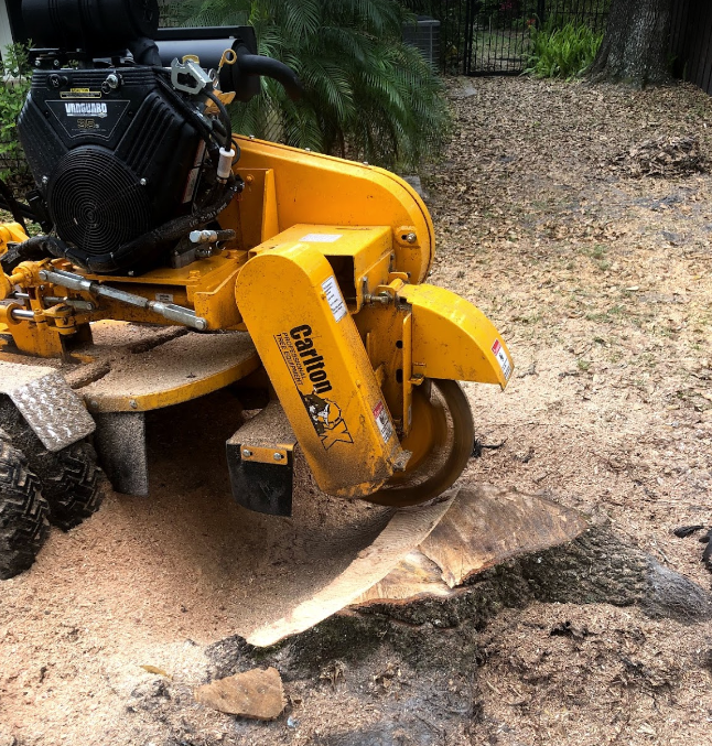 Stump Grind