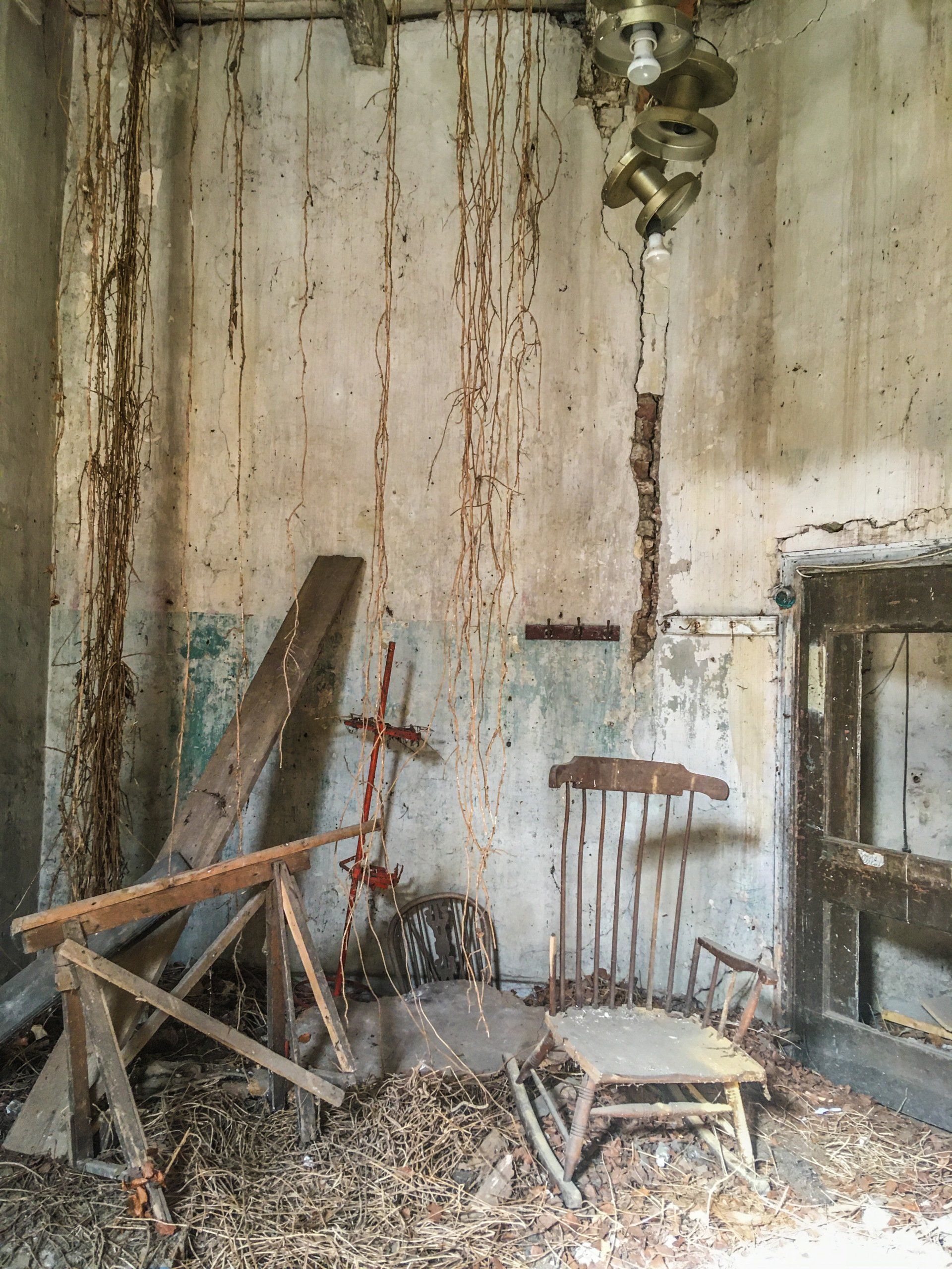 Beauty of Decay, photograph by Elisabeth Baron, Eb-Arwtork.nl