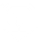 Logo webbureau Digital Lions