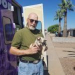 Ron — Apache Junction, AZ — Dashing Groomer
