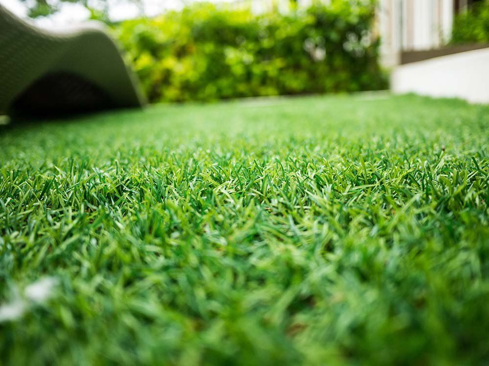 Artificial grass installers