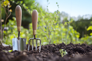 Complete garden services