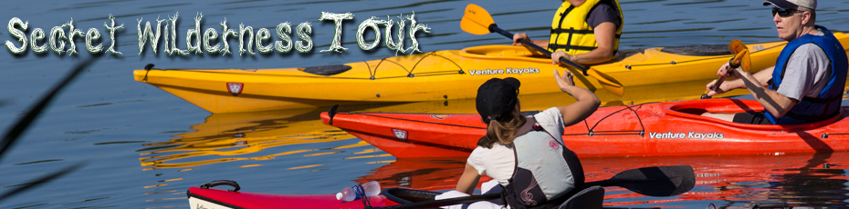 kayak nature tour photo