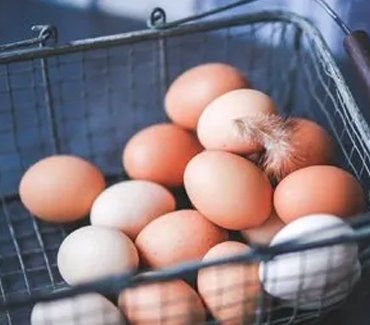 EGGS