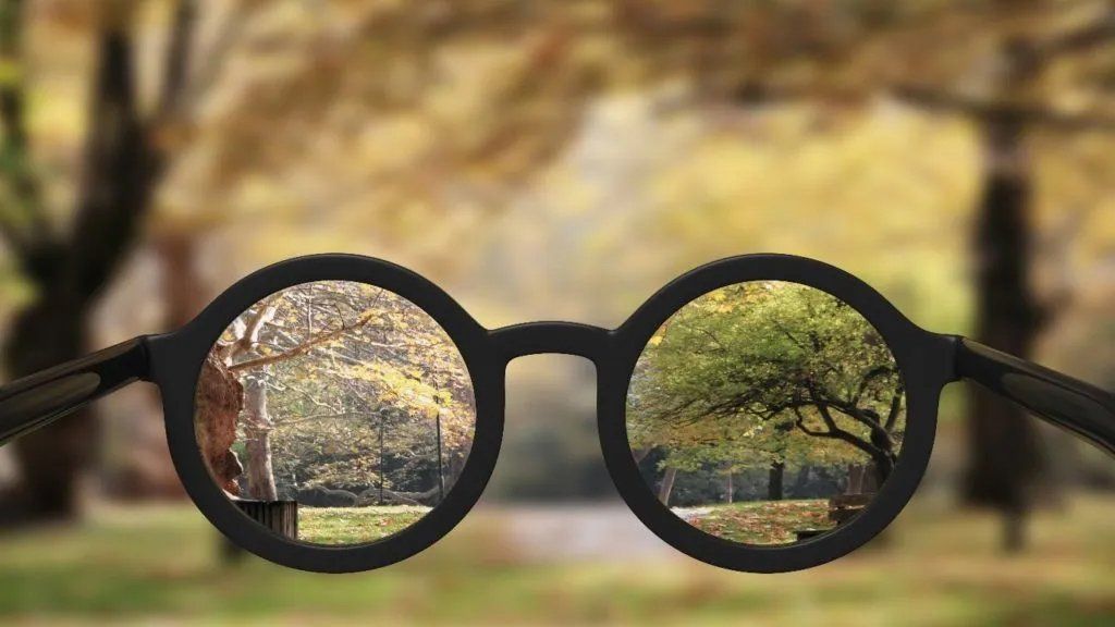 glasses