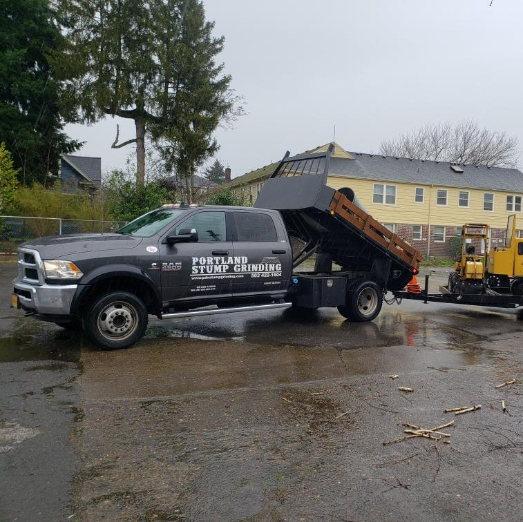 Northwest Stump Removal