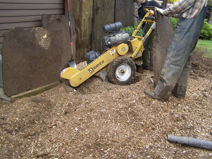 Top stump grinders in Oregon