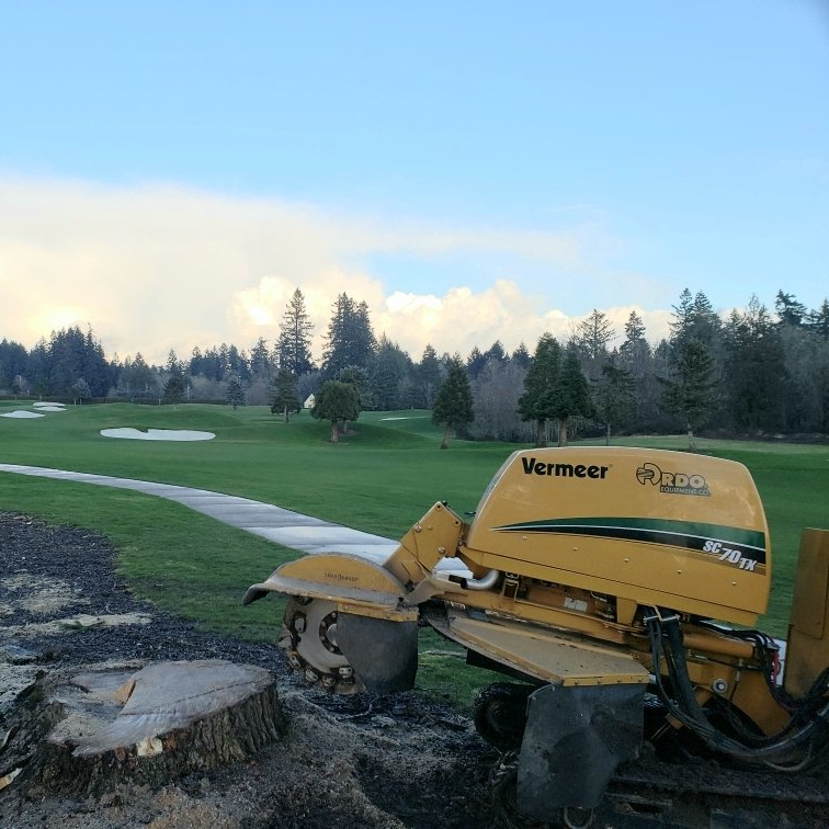 70TX Stump Grinder