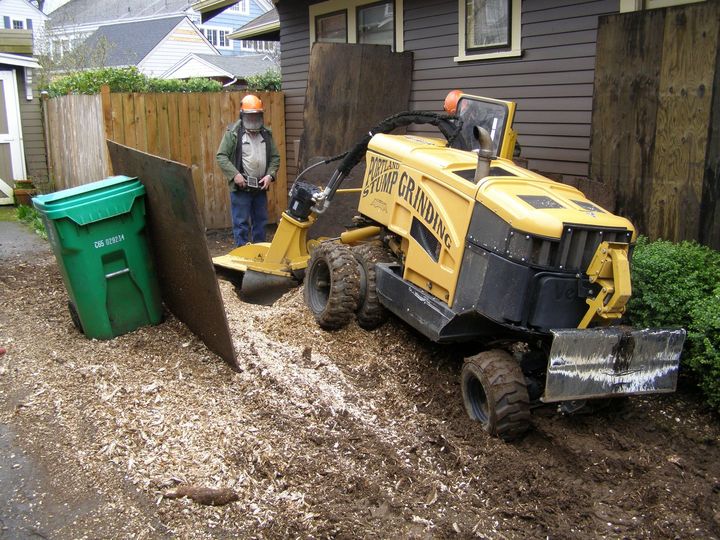Best stump removal in Portland