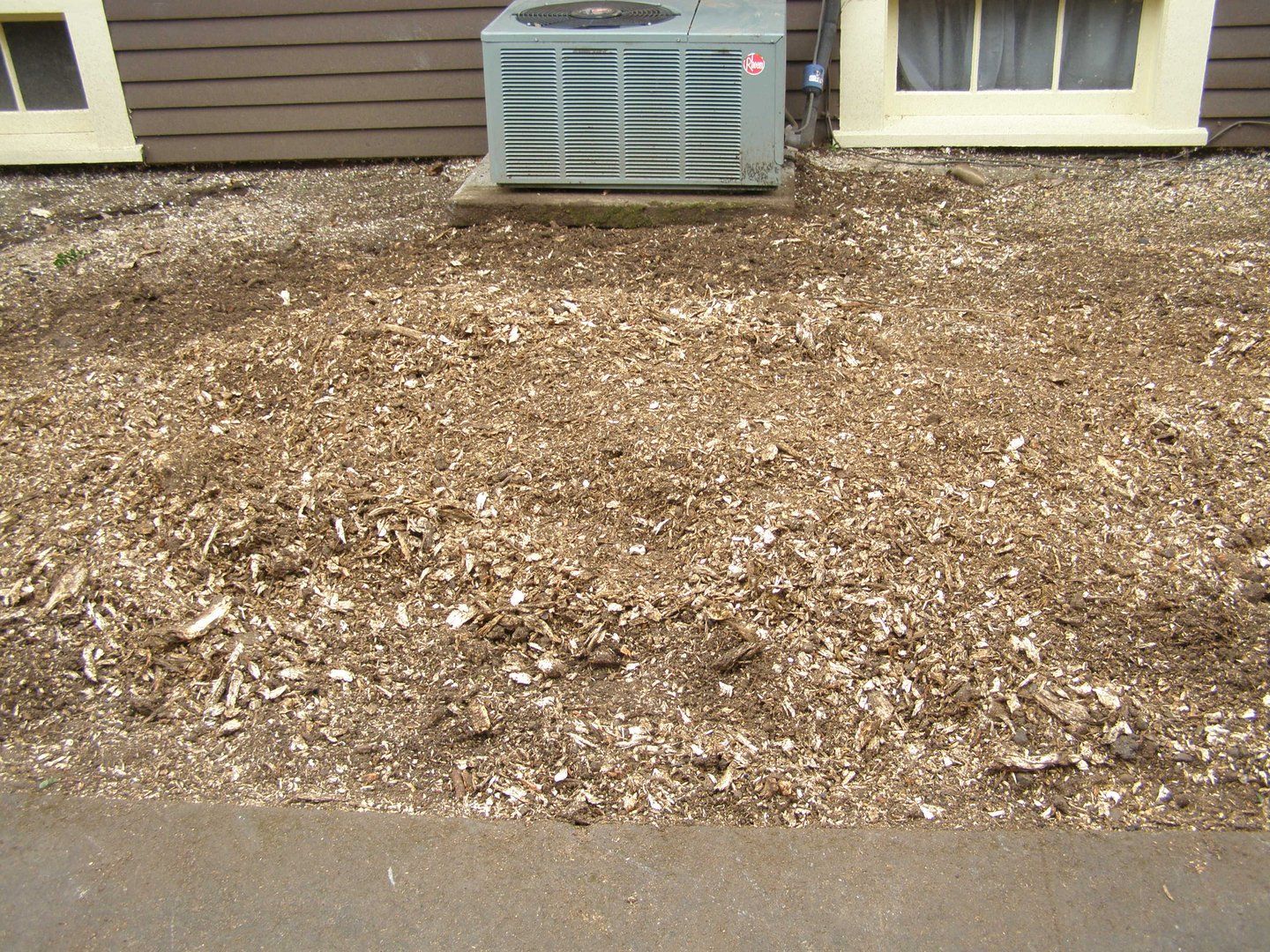 After — stump ground flush and chips raked for cleanup in SE Portland