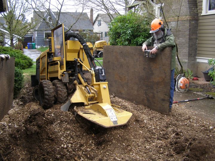 How to grind stumps in Vancouver
