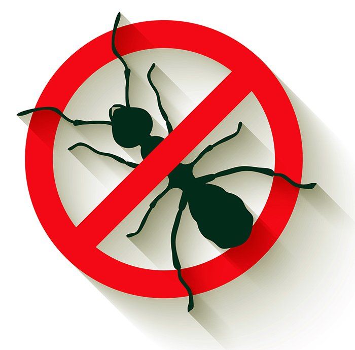pest control in Matthews, NC