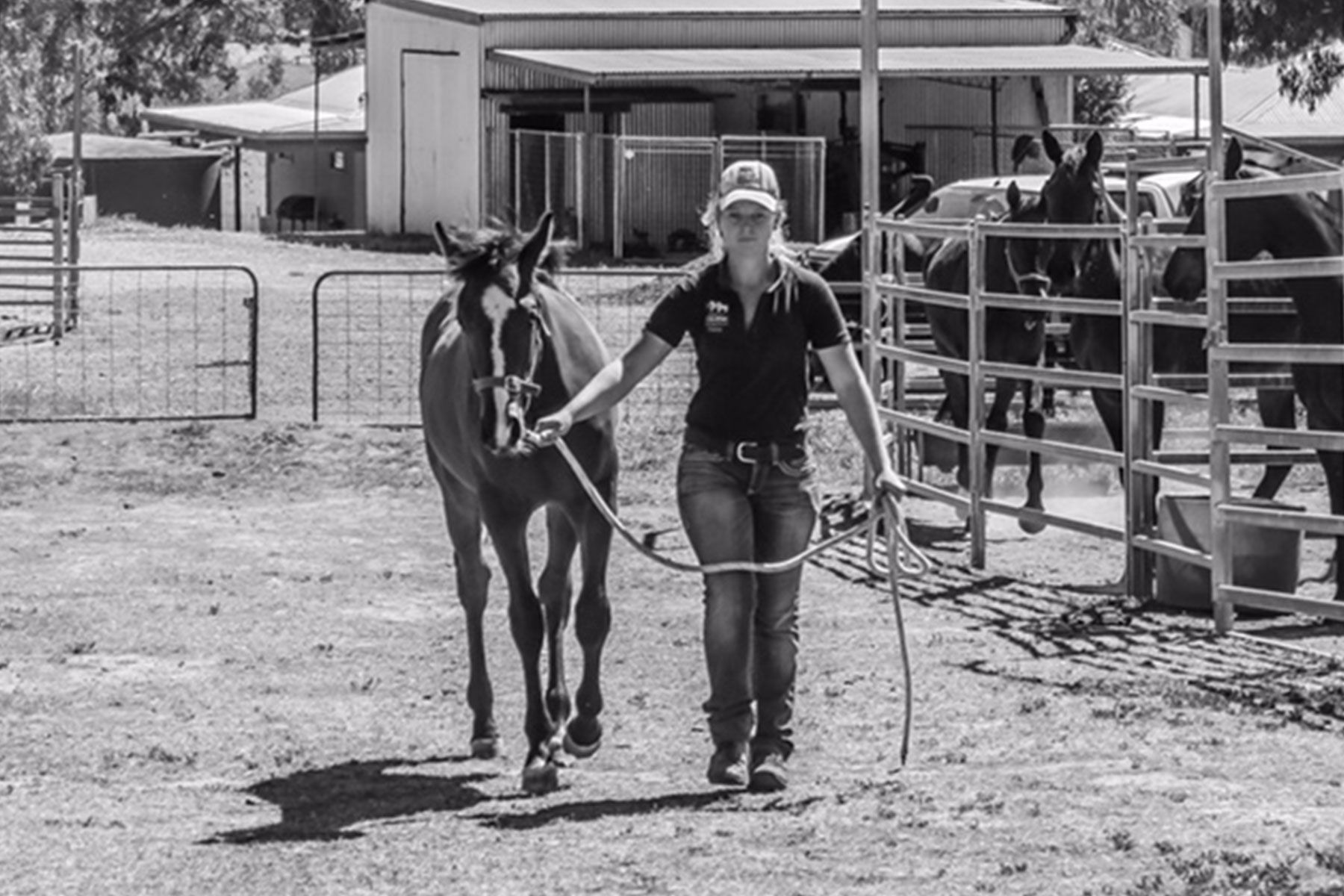 Stacey leading a weanling
