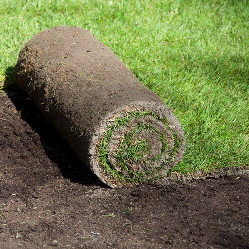 Artificial grass