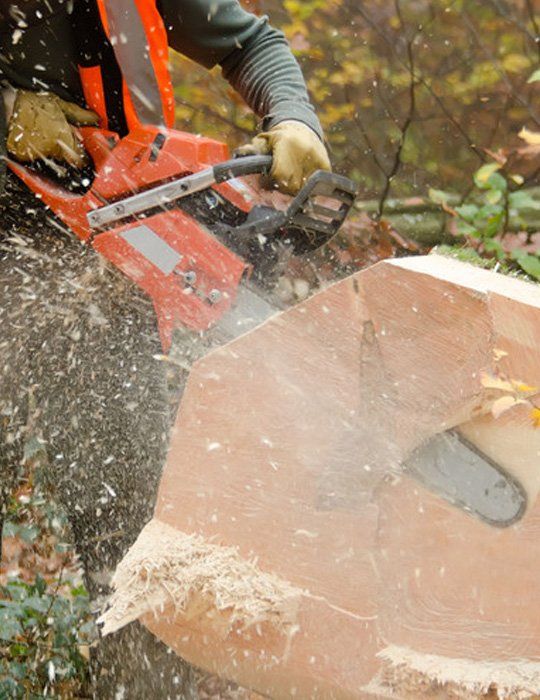 Tree surgery