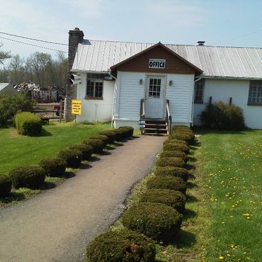 phipps auto parts & towing facility
