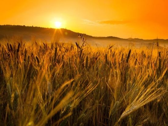 Associazione agricoltori pesaro