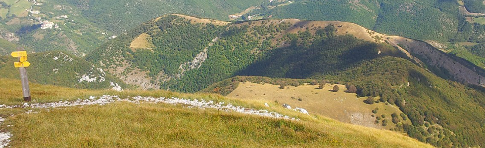 Associazione_agricoltori Marche