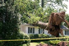 Storm Damage